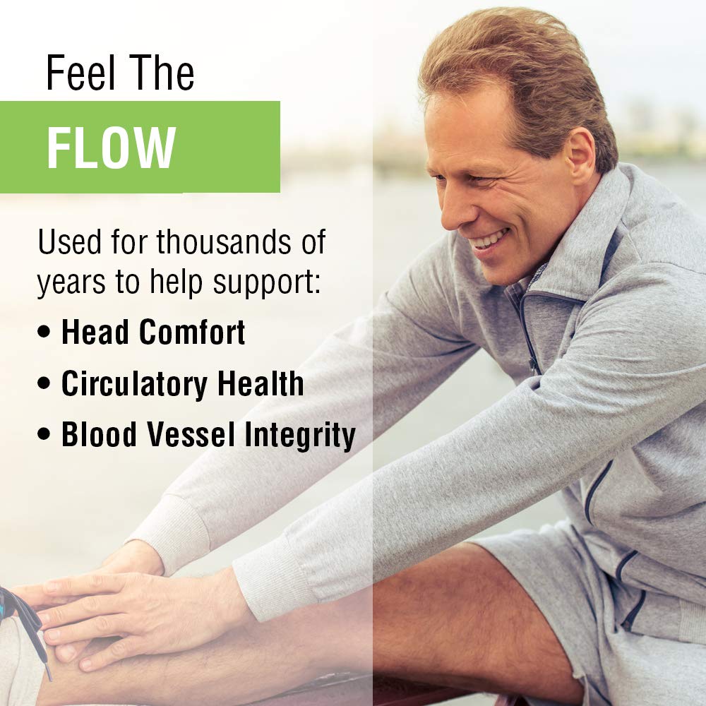 SOLARAY Feverfew Leaf 380 mg | Healthy Circulation, Blood Vessel Tone, Comfort Support | Non-GMO & Vegan | 100 VegCaps