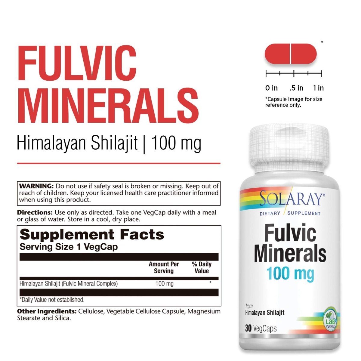 Solaray Fulvic Minerals 100 mg | Himalayan Shilajit | 30 VegCaps