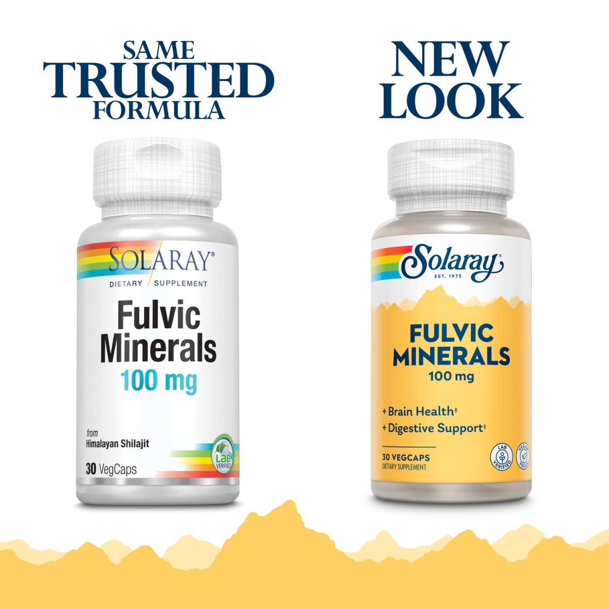 Solaray Fulvic Minerals 100 mg | Himalayan Shilajit | 30 VegCaps