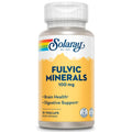 Solaray Fulvic Minerals 100 mg | Himalayan Shilajit | 30 VegCaps