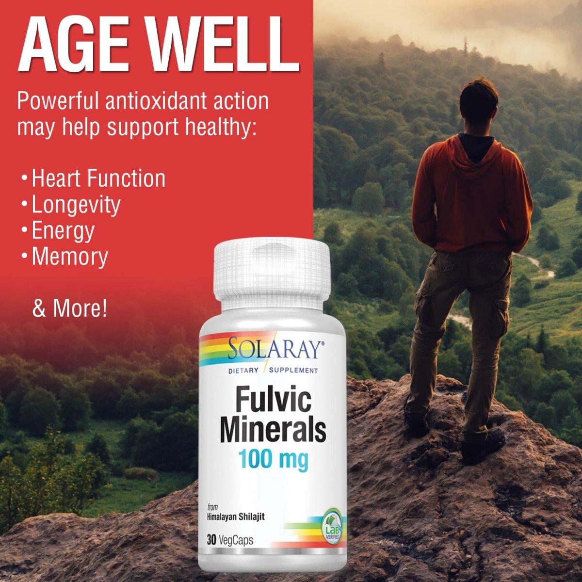 Solaray Fulvic Minerals 100 mg | Himalayan Shilajit | 30 VegCaps