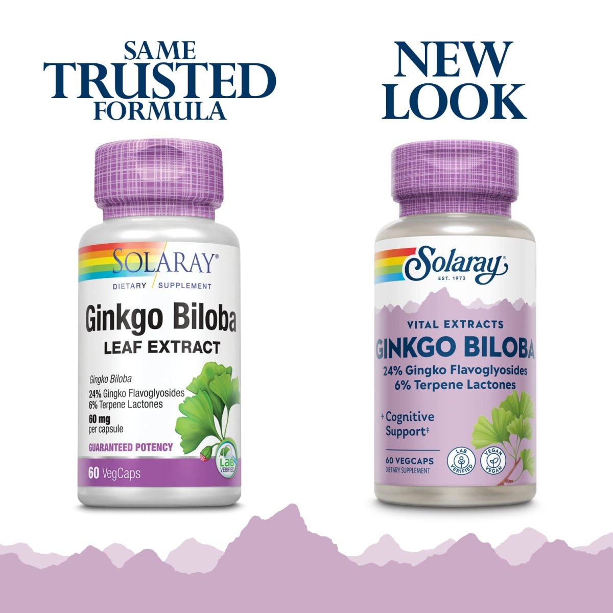 SOLARAY Ginkgo Biloba Extract, 60mg | 60 Count