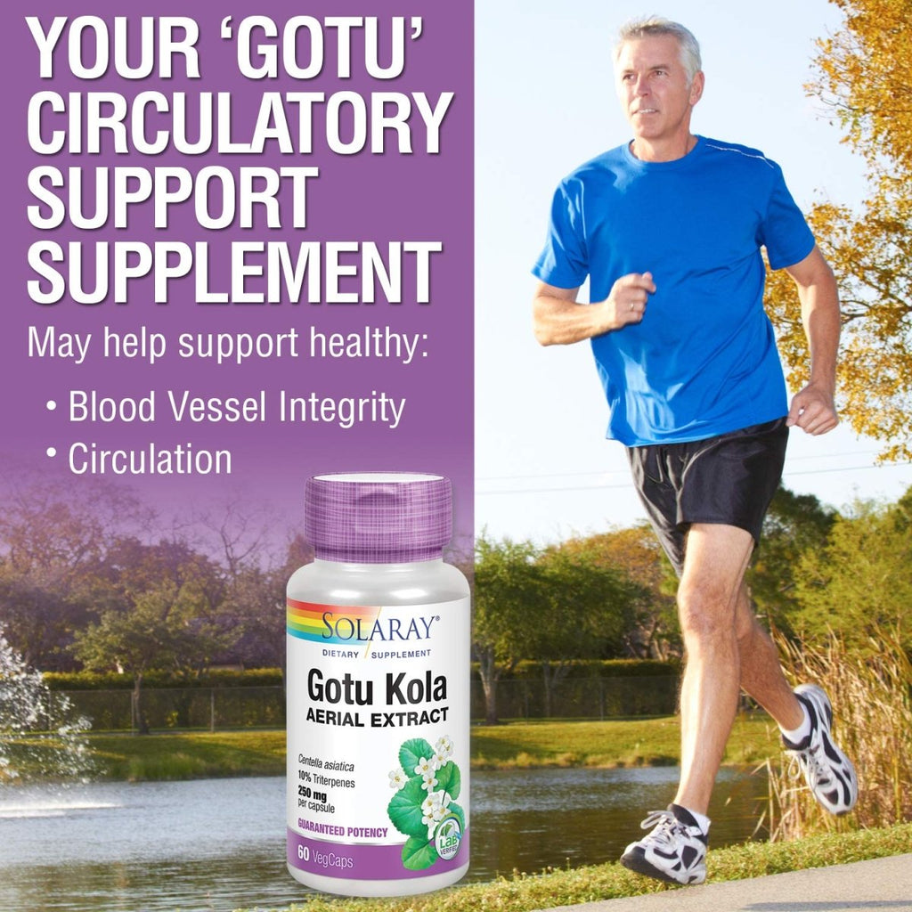 Solaray Gotu Kola Aerial Extract 250mg - 60 VegCaps