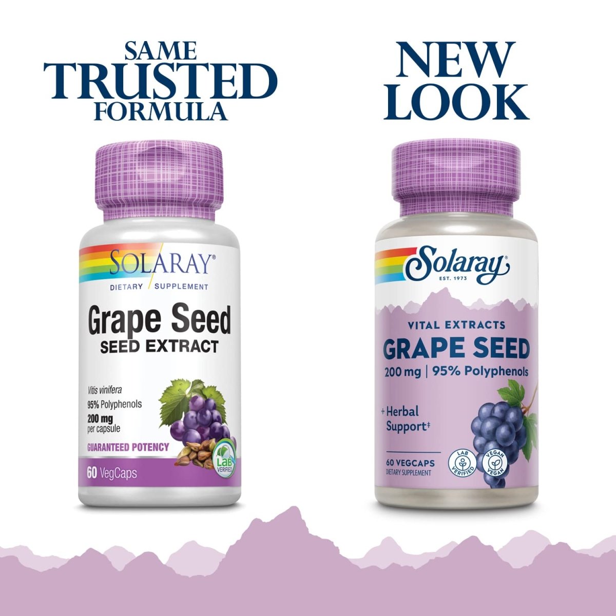 SOLARAY Grape Seed Extract 200 mg Plus Bioflavonoid Complex - 60 VegCaps - Healthy Cardiovascular & Blood Vessel Support