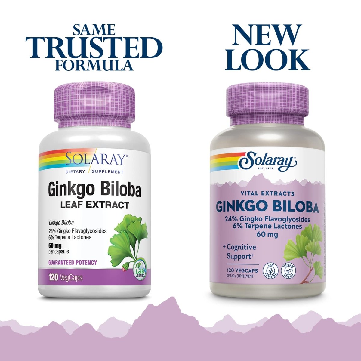 SOLARAY Guaranteed Potency Ginkgo Biloba Leaf Extract, Veg Cap (Btl-Plastic) 60mg | 120ct