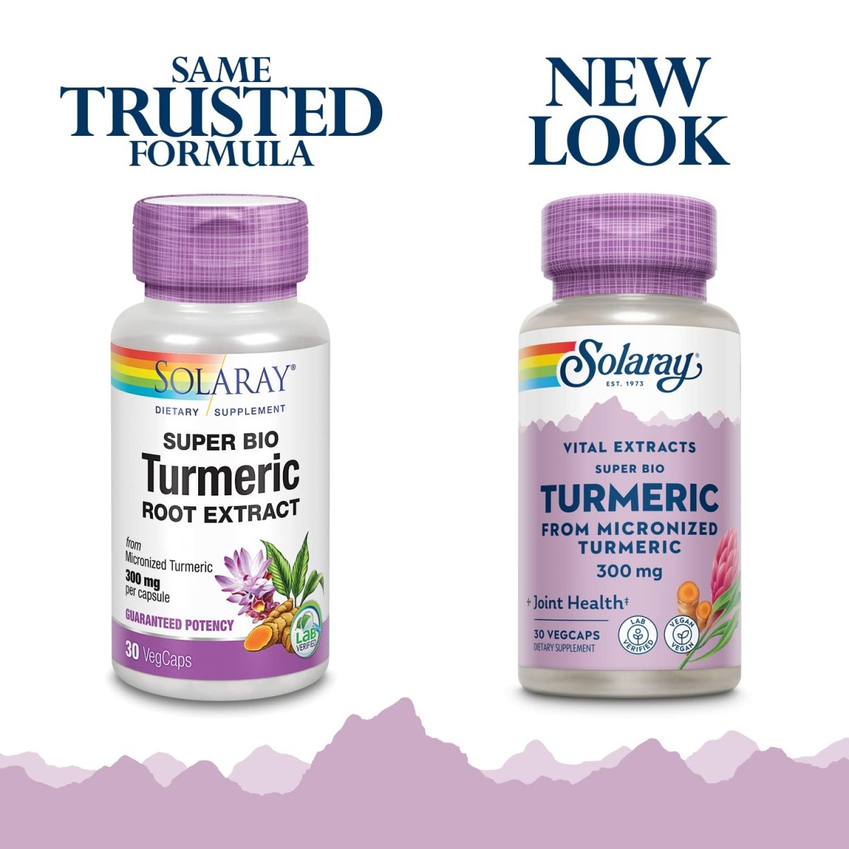 SOLARAY Guaranteed Potency Super Bio Turmeric Micronized, Veg Cap (Btl-Plastic) 300mg | 30ct