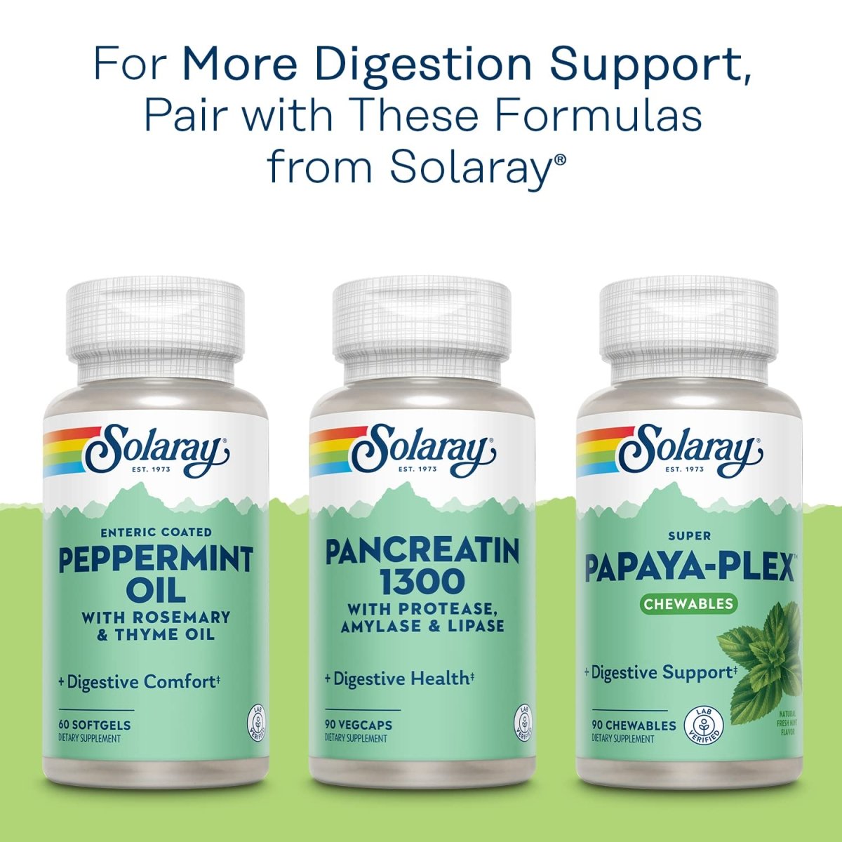 Solaray High Potency Betaine HCL with Pepsin - 250 VegCaps   04815