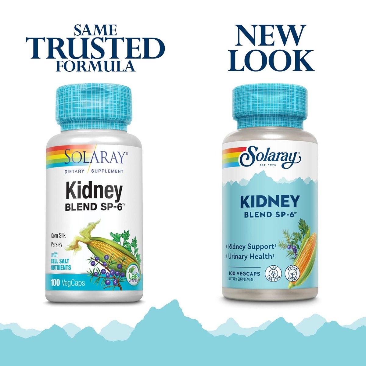Solaray Kidney Blend SP-6 | Herbal Blend w/Cell Salt Nutrients to Help Support Healthy Kidney Function | Non-GMO, 00260