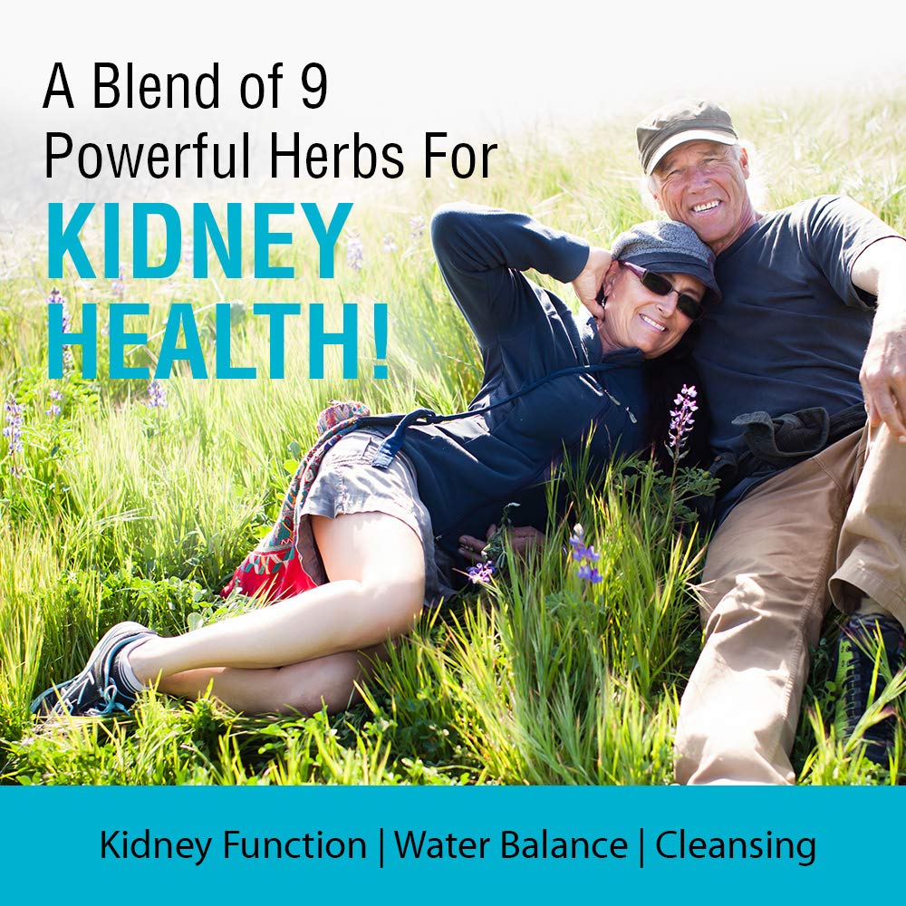 Solaray Kidney Blend SP-6 | Herbal Blend w/Cell Salt Nutrients to Help Support Healthy Kidney Function | Non-GMO, 00260
