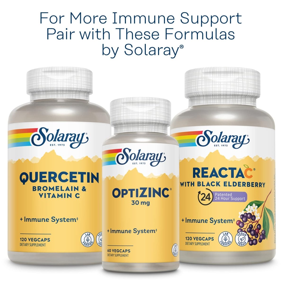 Solaray L-Lysine Monolaurin Immune Support - Powerful Formula for Optimal Immune System Function - 60 VegCaps