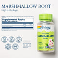 SOLARAY Marshmallow Root 480 mg Healthy Respiratory Function & Digestion Support Non-GMO & Vegan 100 VegCaps