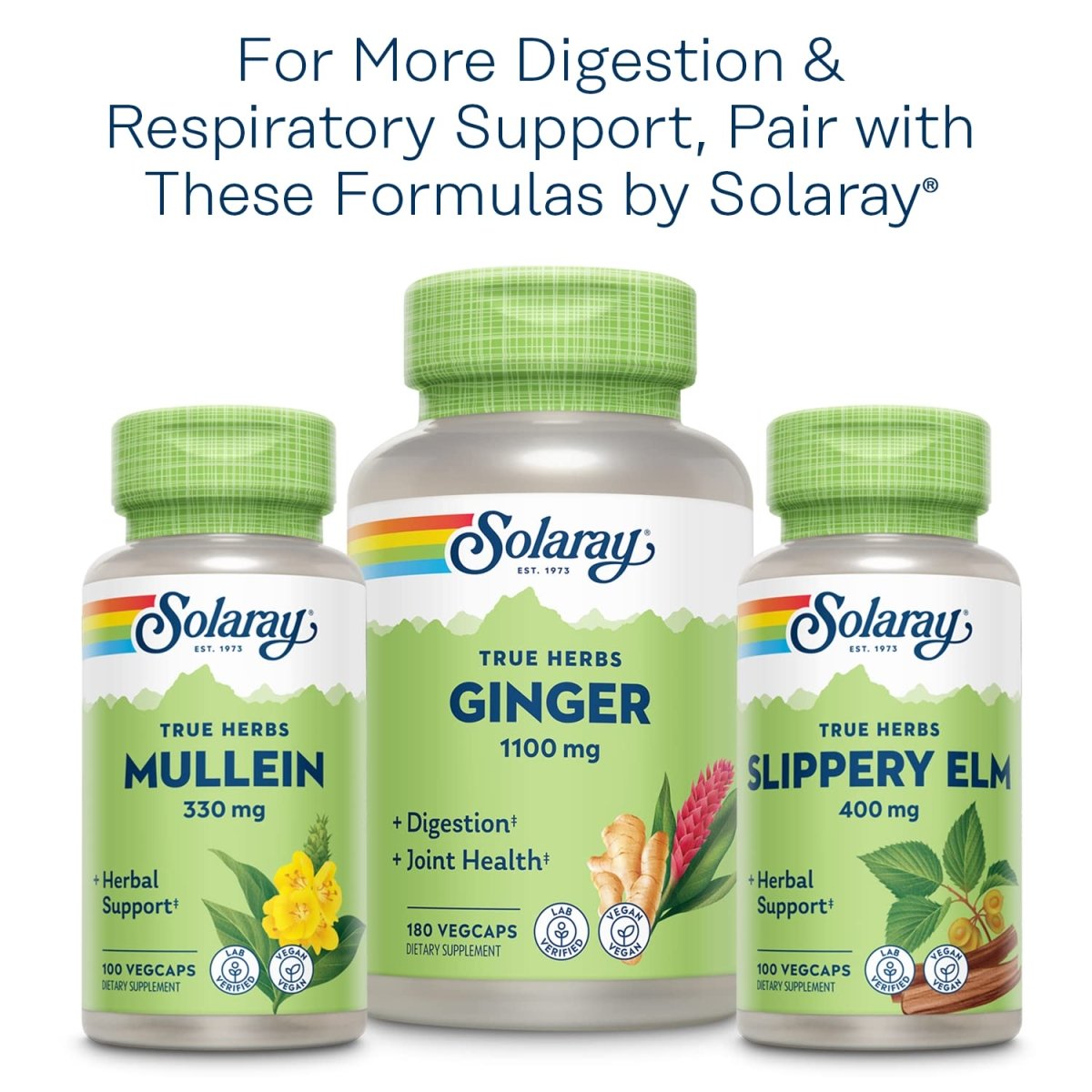 SOLARAY Marshmallow Root 480 mg Healthy Respiratory Function & Digestion Support Non-GMO & Vegan 100 VegCaps