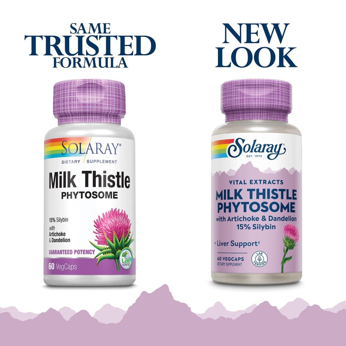 SOLARAY - Milk Thistle Phytosome, 60 Capsules