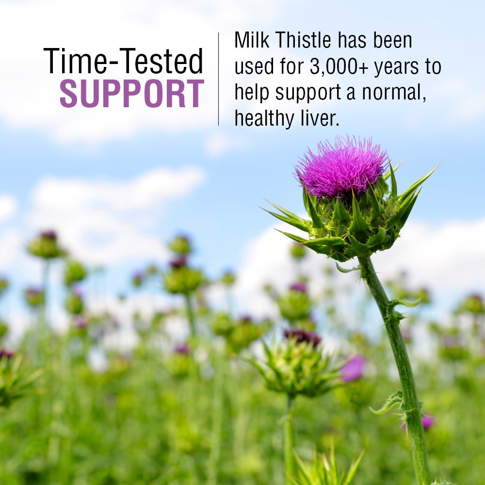 SOLARAY Milk Thistle Seed Extract 175mg Antioxidant Intended to Help Support a Normal, Healthy Liver Non-GMO & Vegan 120 VegCaps