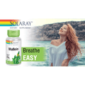 Solaray Mullein 330 mg 100 Vcaps - 2 Pack
