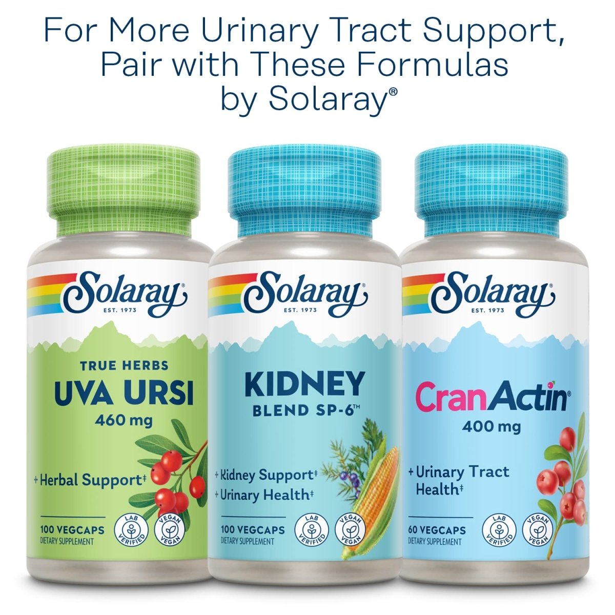 SOLARAY Nettle Leaf 450mg Healthy Kidney, Urinary & Prostate Support Traditional Use for Healthy Allergy Response & Respiratory Wellness 180 CT
