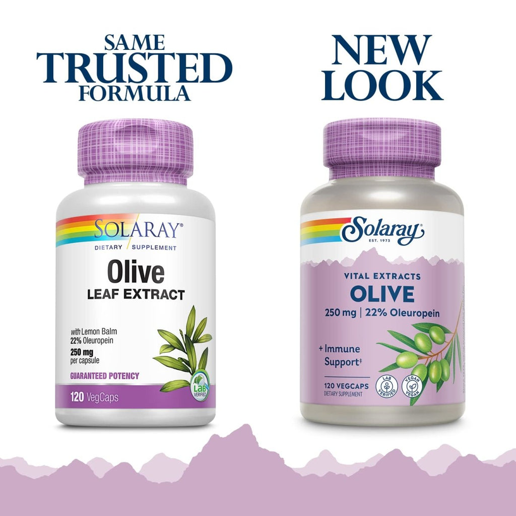 SOLARAY Olive Leaf Extract 22% Supplement, 250 mg | 120 Count