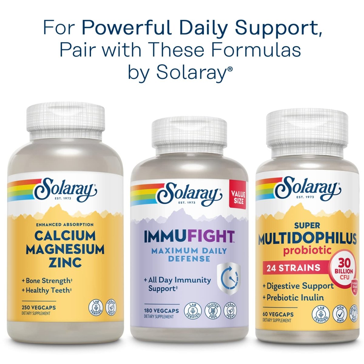SOLARAY Once Daily Adult 50+ Multivitamin Healthy Energy, Heart & Immune Support for Mature Adults 90 CT
