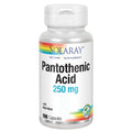 SOLARAY Pantothenic Acid 250mg - 100CT | Vitamin B5 for Energy Metabolism, Hair, Skin, Nails & Digestive Support
