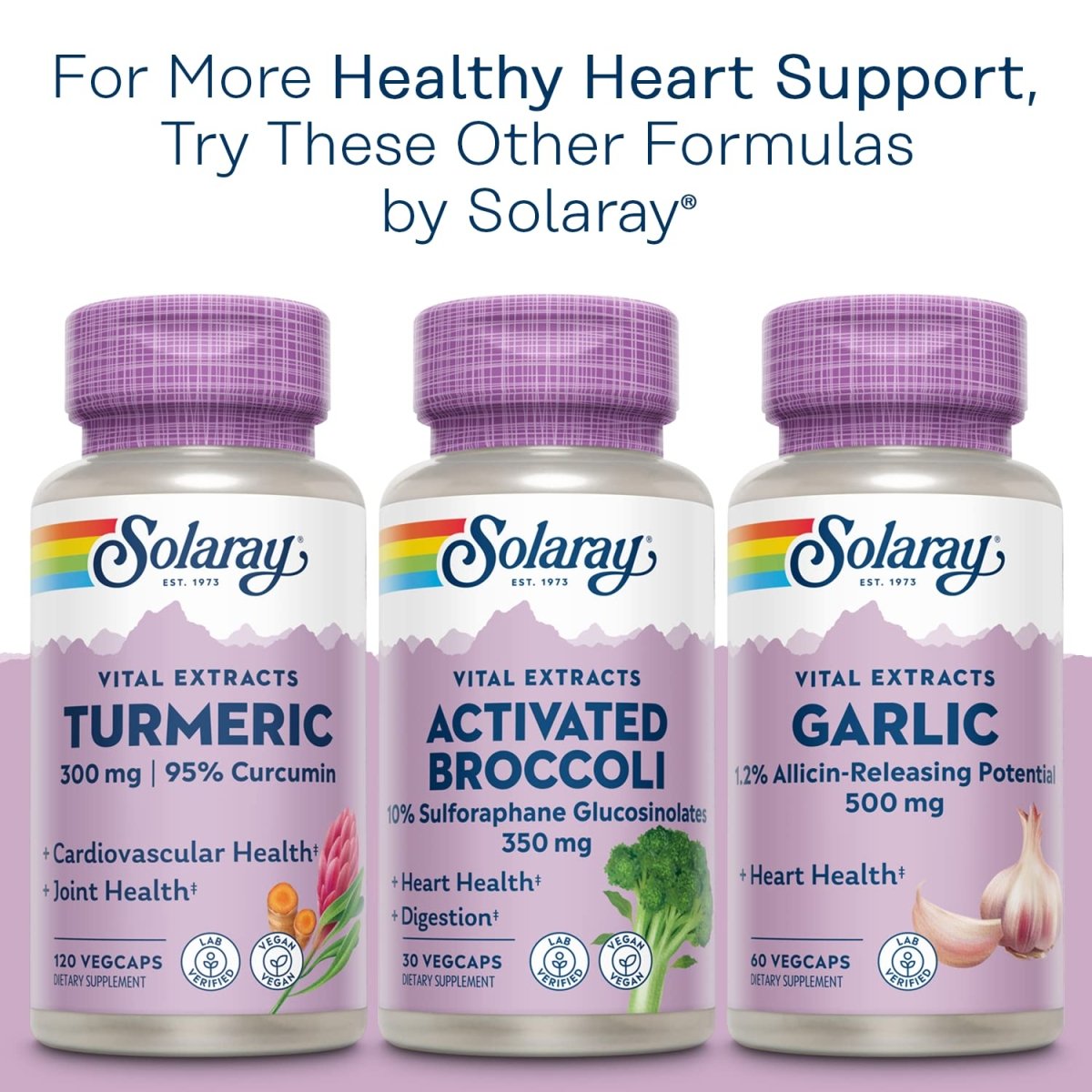 Solaray Red Yeast Rice Plus CoQ-10 & No-Flush Niacin Vitamin B-3, Healthy Heart & Cardiovascular Support, Non-Irradiated & Citrinin Free, 60 Day Money Back Guarantee, 90 Servings, 90 VegCaps