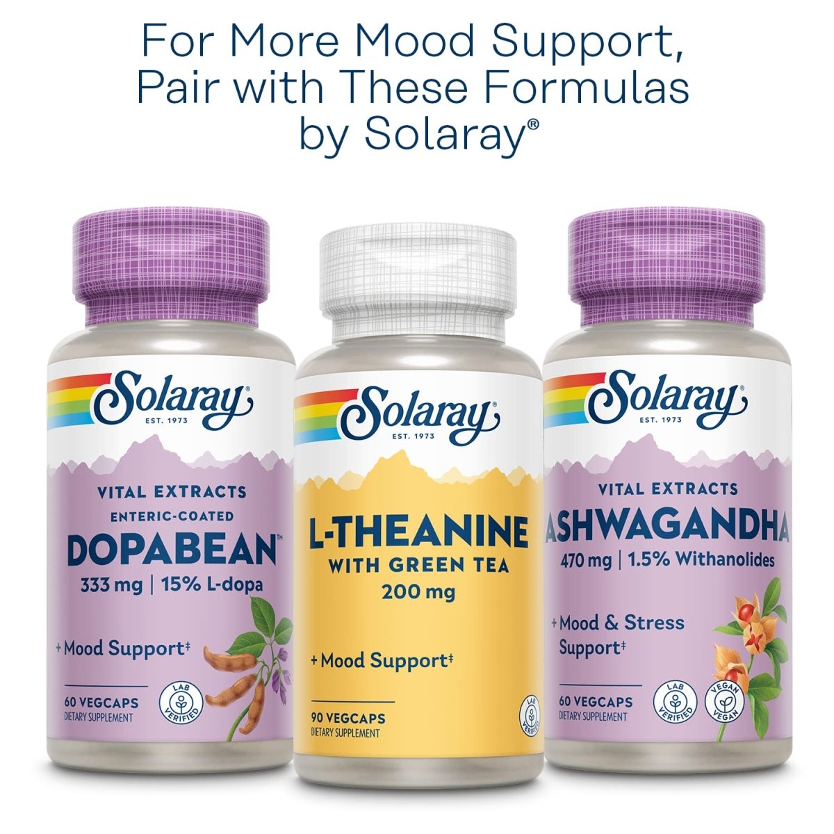 SOLARAY St John's Wort 900 mg, Once Daily Mood Support Supplement, Standardized to 0.3% Hypericin for Brain Health Support and a Balanced Mood, 60-Day Money Back Guarantee | 30 Servings | 30 Tablets