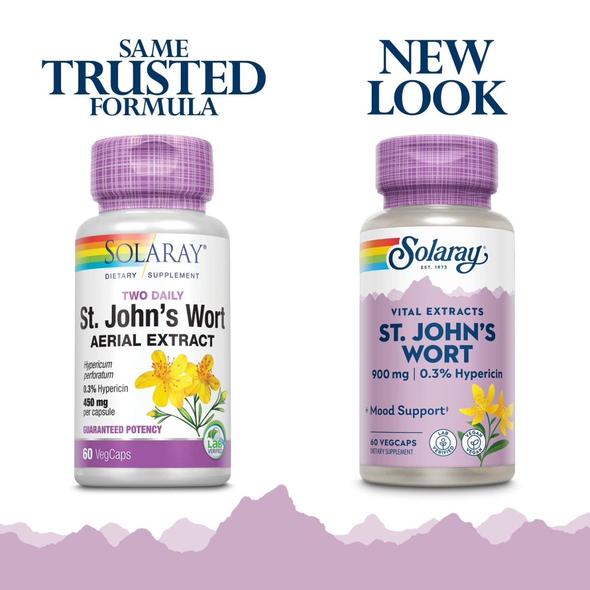SOLARAY St. Johns Wort Aerial Extract 450mg Two Daily | Mood & Brain Health Support | 0.3% Hypericin | 60ct, 30 Serv.