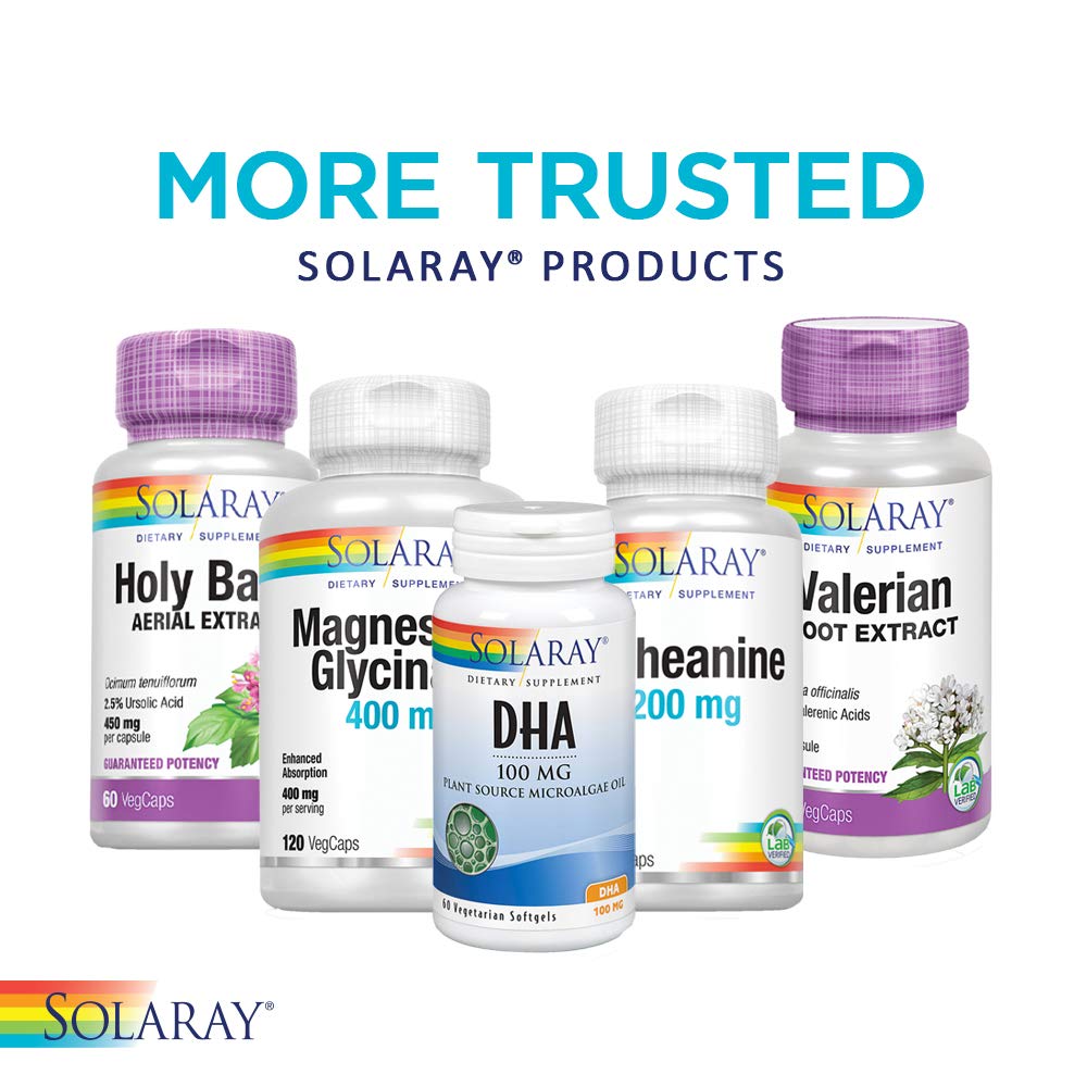 SOLARAY St. Johns Wort Aerial Extract 450mg Two Daily | Mood & Brain Health Support | 0.3% Hypericin | 60ct, 30 Serv.