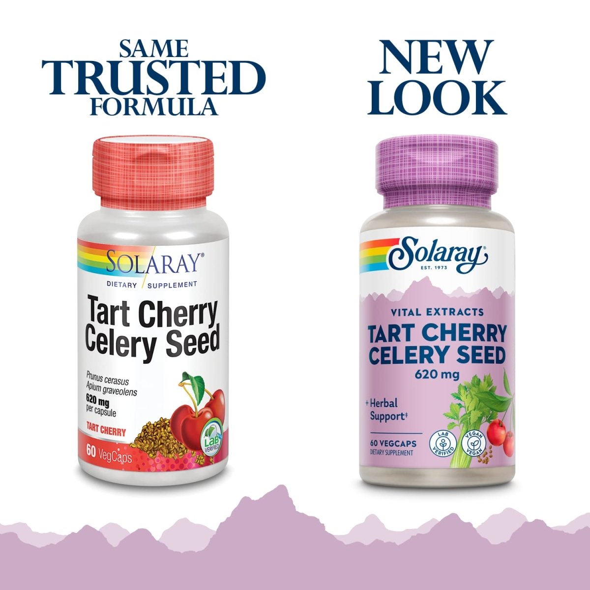 Solaray Tart Cherry & Celery Seed - 60 VegCaps