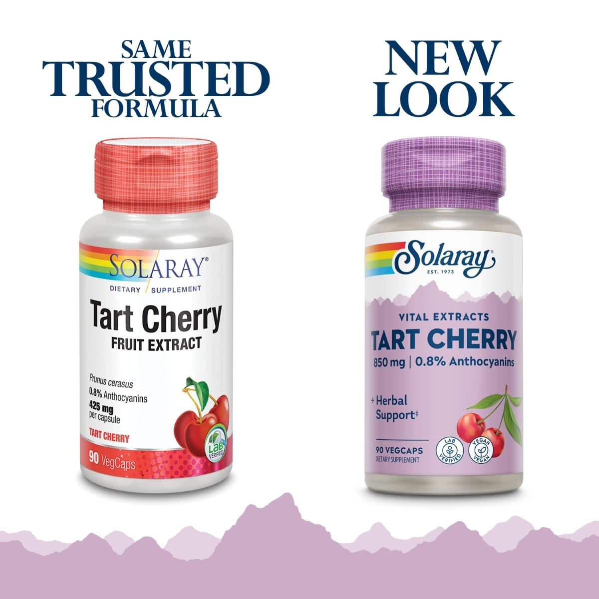 SOLARAY Tart Cherry Fruit Extract 425mg | Supports Healthy Uric Acid Levels w/Antioxidants & Anthocyanins | Non-GMO & Vegan | 90 VegCaps