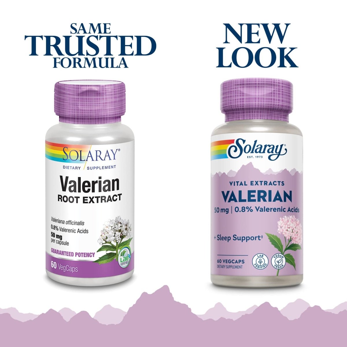 SOLARAY Valerian Root Extract 50 mg | Relaxation Support for a Healthy Sleep Cycle | 0.8% Valerenic Acids | 60 CT