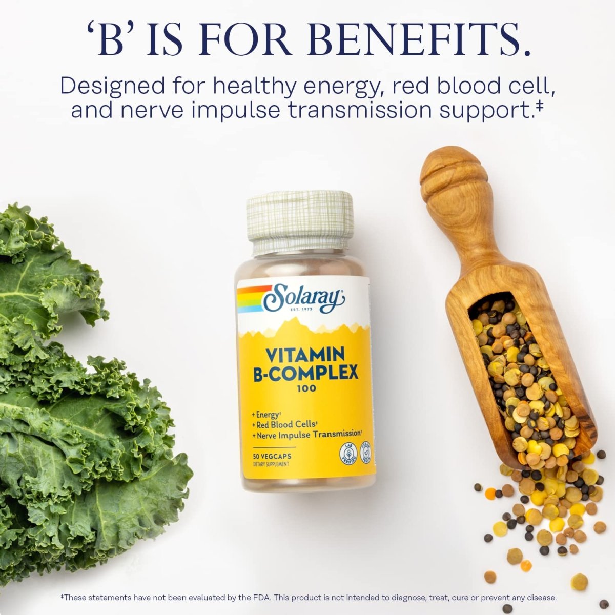 Solaray Vitamin B-Complex 100 mg - Healthy Energy, Blood Cell Formation & Nerve Impulse Transmission Support - 100 VegCaps (50 Count)