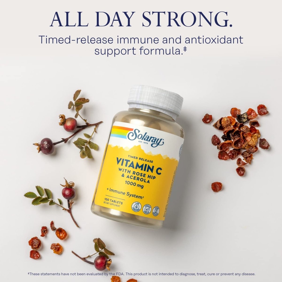 SOLARAY Vitamin C w/Rose Hips & Acerola, 1000mg, Two-Stage Timed-Release Healthy Immune Function (250 Tabs) (100 Servings, 100 Tablets)