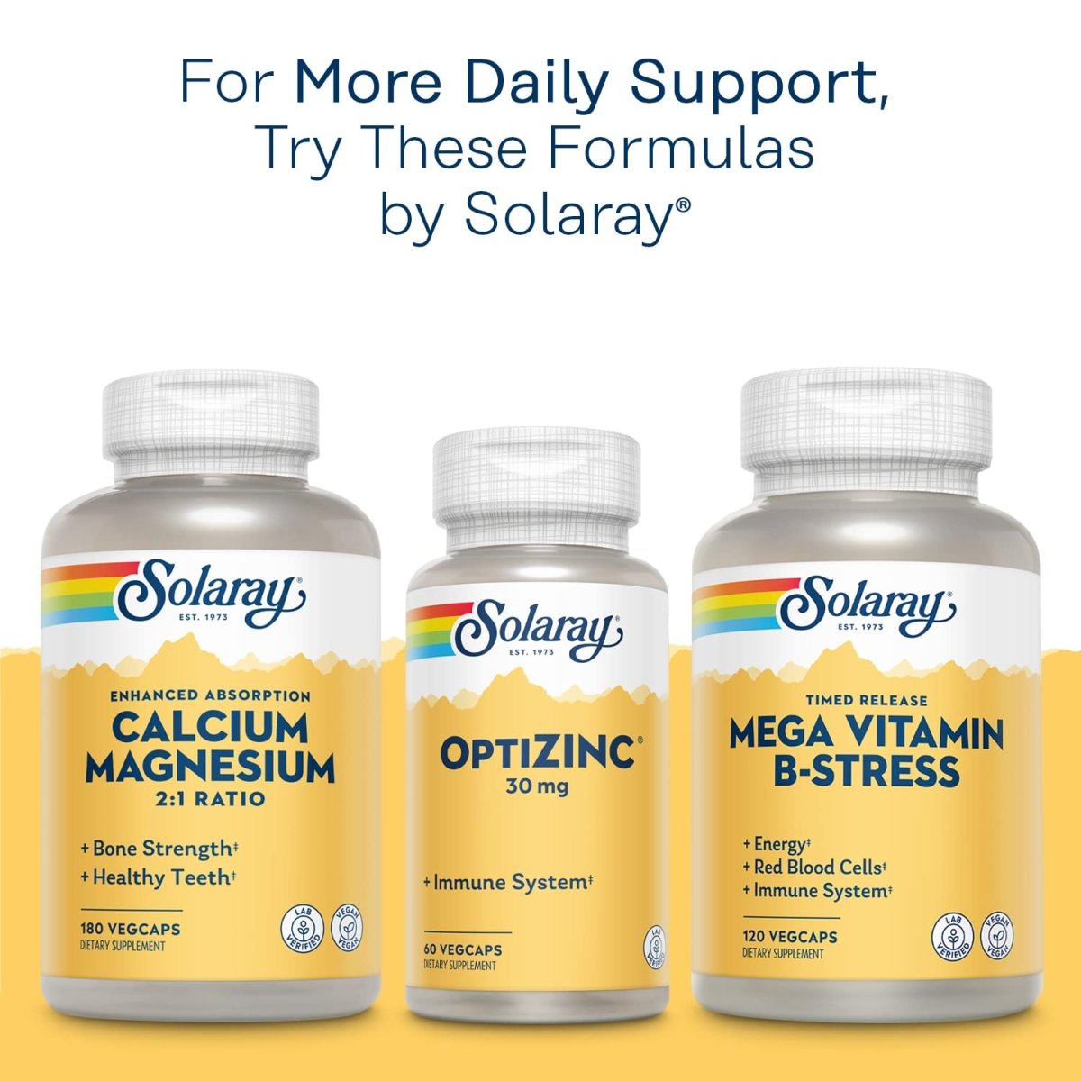 Solaray Vitamin C w/Rose Hips, Acerola & Bioflavonoids, 1000mg, Supports Immune Function & Healthier Skin, Hair, Nails Non-GMO, Vegan, 100 CT