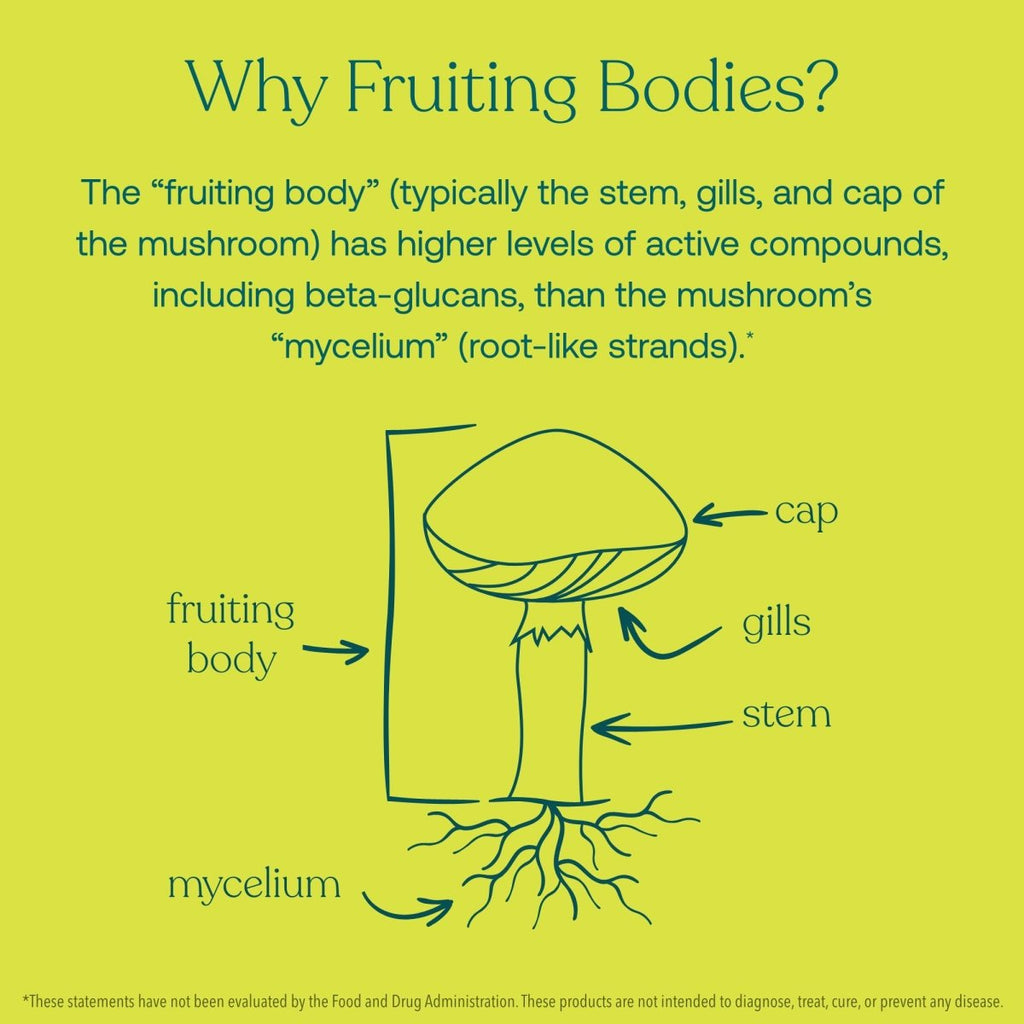 True Grace - Myco-Renew Fruiting Body Organic Mushroom Blend - 60 Vegan Capsules