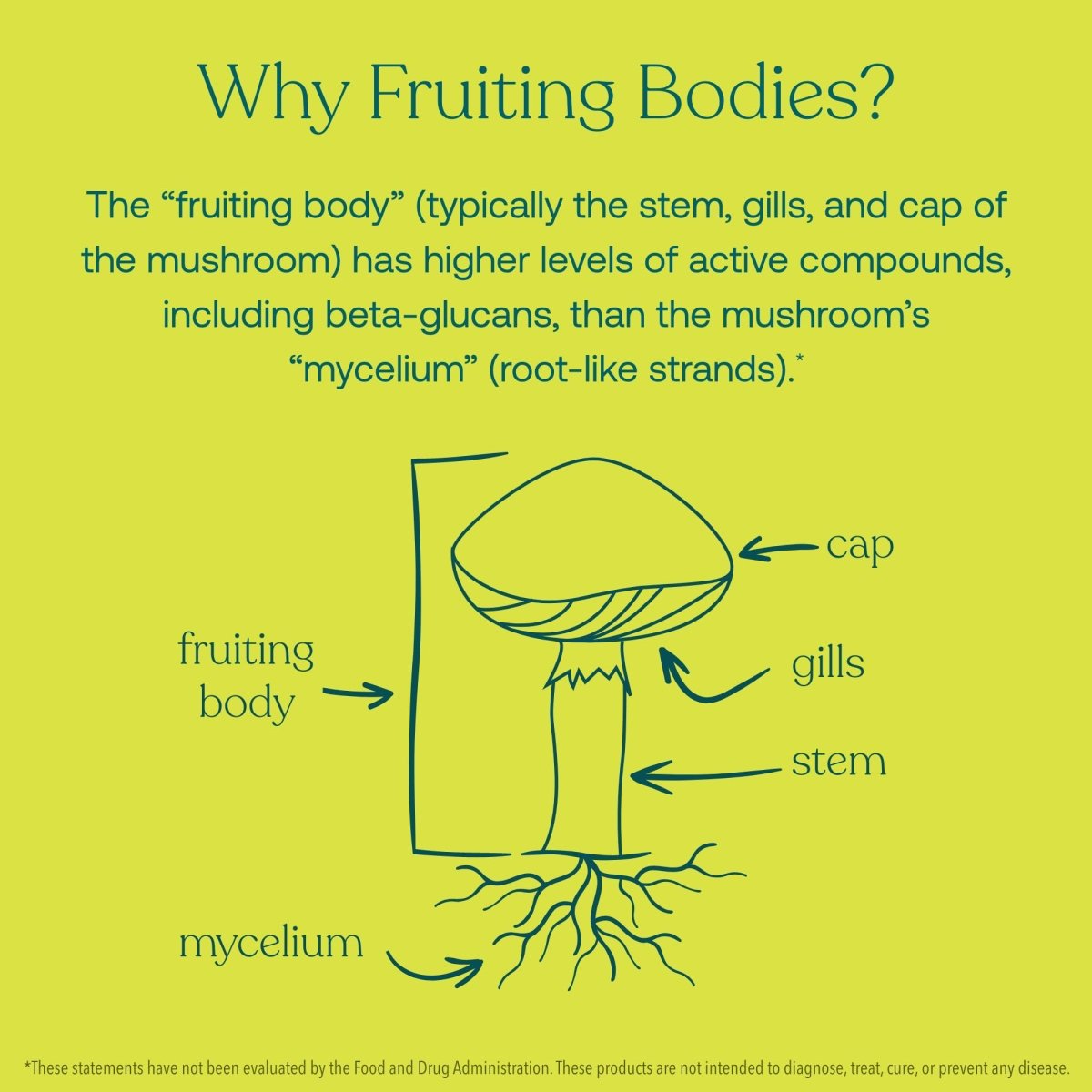 True Grace - Myco-Renew Fruiting Body Organic Mushroom Blend - 60 Vegan Capsules