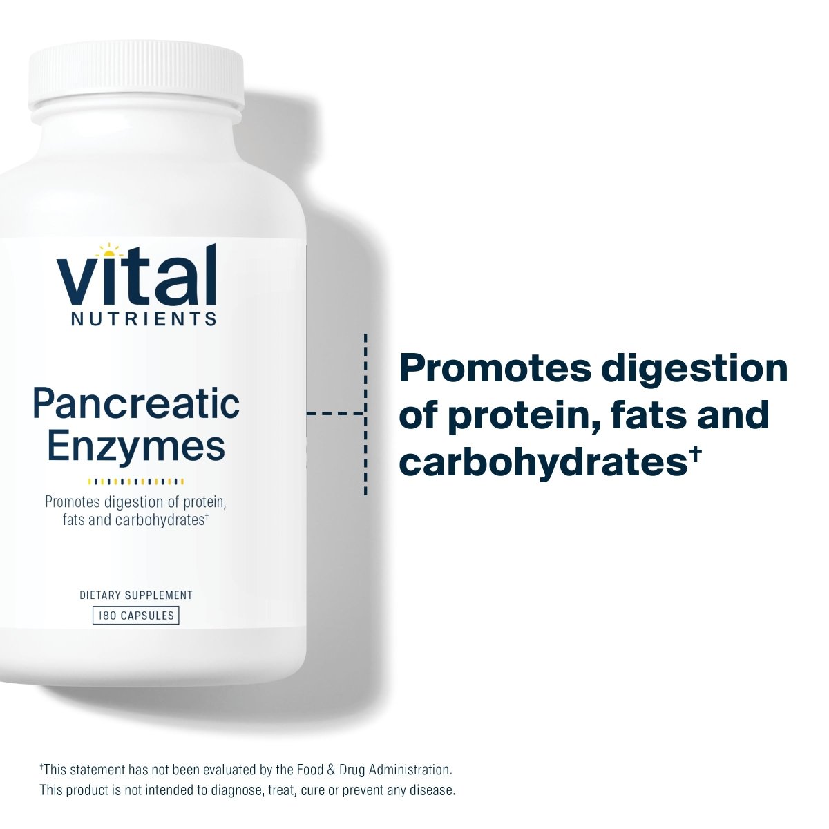 Vital Nutrients Pancreatic Enzymes 1000mg 180 Capsules