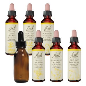 Bach Decide Your Path Kit - Wild Oat, Scleranthus & Empty Mixing Bottle