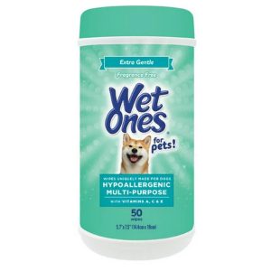 Wet Ones Wipes Xtra Gntl Hypoa