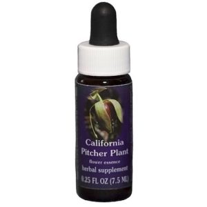 Flower Essence Services California Pitcher Plant Dropper 0.25 oz - FS0113