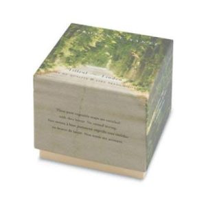 Provence Sante Linden Gift Soap 2 Bar Set