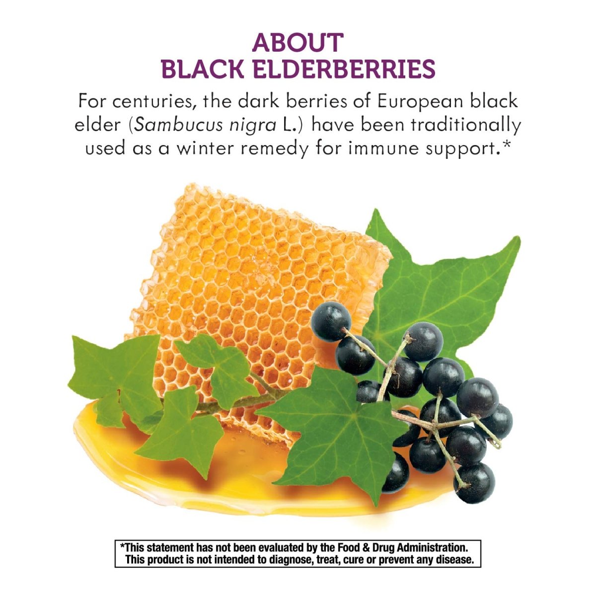 natures-way-sambucus-honeyberry-cough-syrup-with-black-elderberry-extract-organic-honey-immune-support-4-fl-oz033674133132-3842083