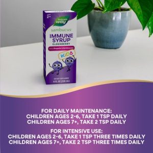 Nature'S Way Sambucus Syrup Sugar Free 4 Fz