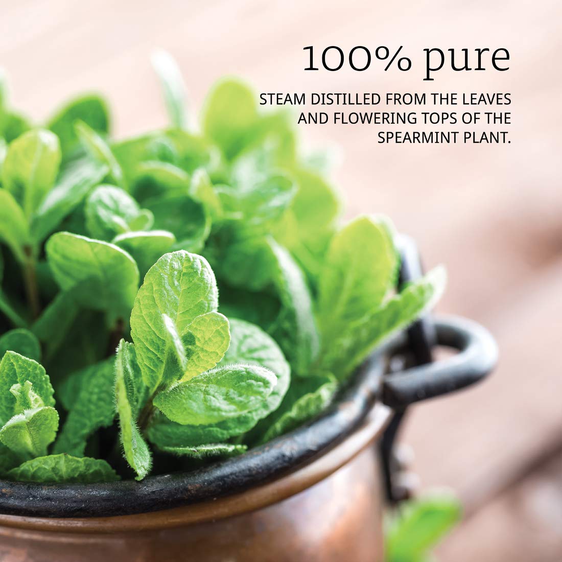 now-spearmint-oil-1-ounce733739076205-7109475