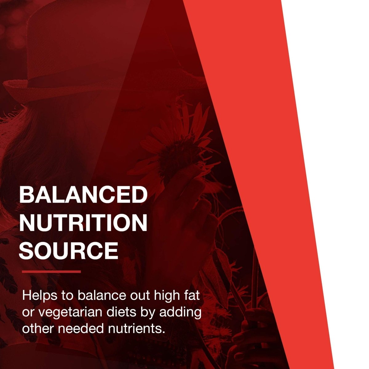 protocol-for-life-balance-l-carnitine-500-mg-60-vcaps-p0072707359100725-4651964