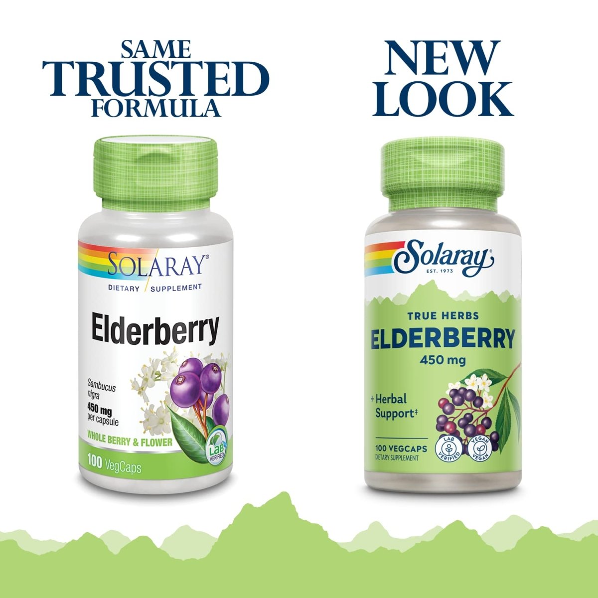 solaray-elderberry-berry-flower-450mg-support-for-general-wellbeing-during-cold-months-with-flavonoids-phenolic-compounds-non-gmo-100ct076280124453-2655261