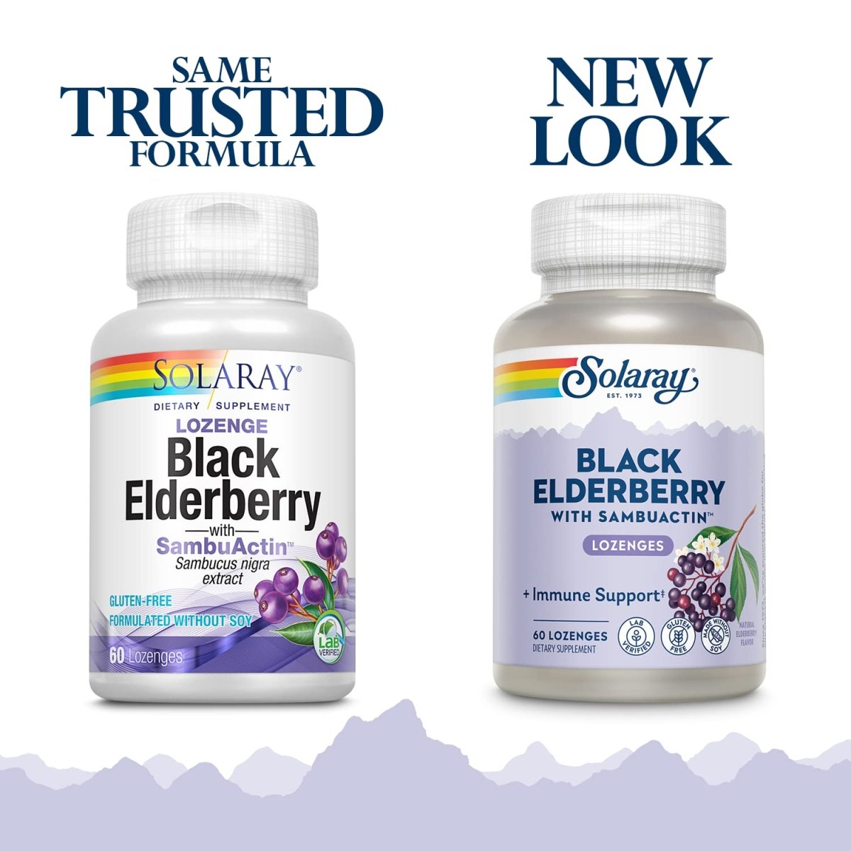 solaray-sambuactin-elderberry-extract-60-lozenges076280034073-2740882
